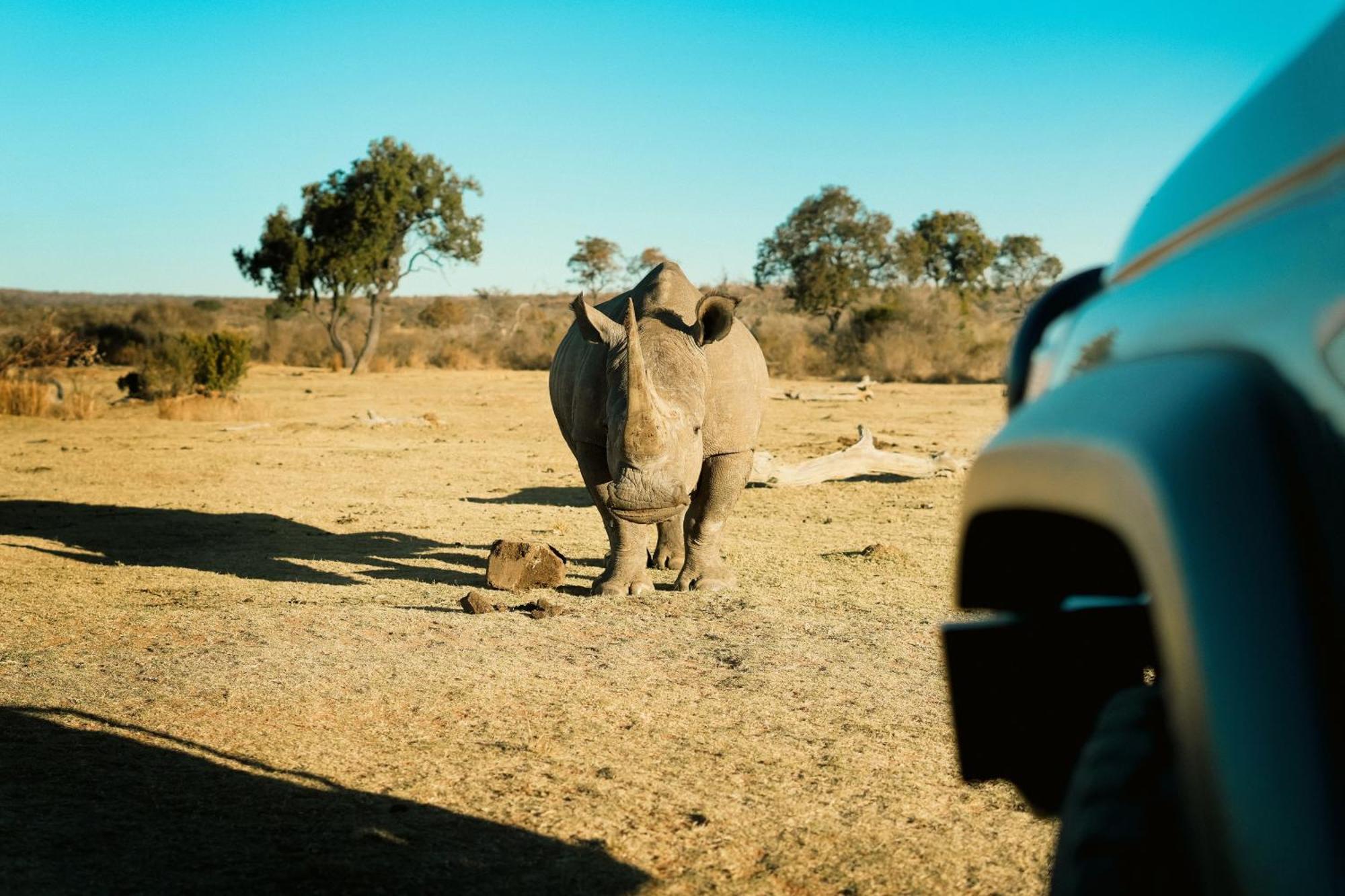 Shibula Safari Lodge Rezervaţia de vânat Welgevonden Exterior foto